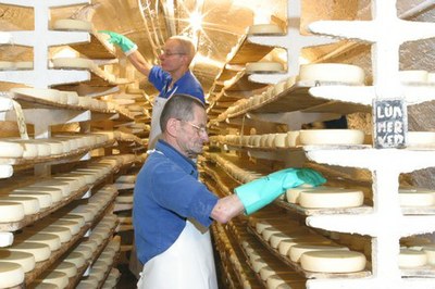 Fromagerie Tamié - Wadoo - 4.jpg