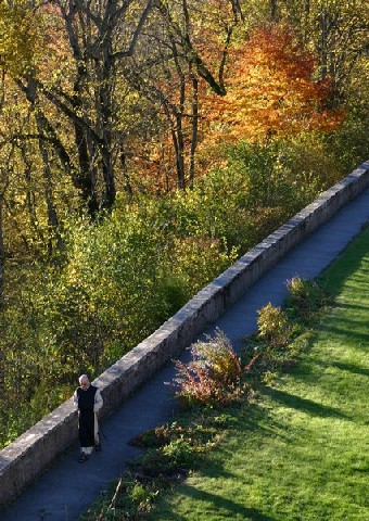 Jardin en automne