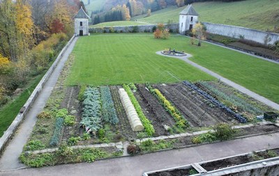 Jardin en automne